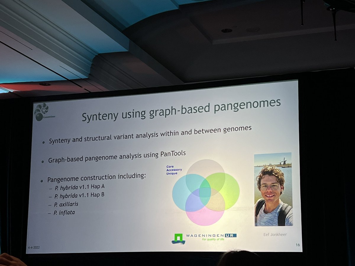 Kaylee__Mueller's tweet image. Happening now at #AGBTAG22: 
Bart Nijland @genetwister discusses #pangenomics (see suggested tools) and how highly contiguous, haplotype-aware genome 🧬 assemblies are more accessible than ever. @PacBio @PhaseGenomics