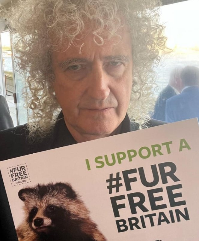 ✰Peleando por una buena causa. Brian defendiendo a cientos de animales sacrificados sin causa alguna.  #brianmay