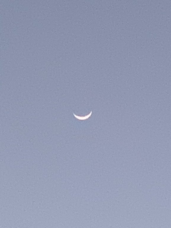 okamoto_sandra's tweet photo. Good evening, Columbus! The waxing crescent moon is at 13.7% in a clear blue twilight sky. It’s a perfectly gorgeous sight. #ColumbusGA #04/04/2022 #gettingcooler #drierair #nobreeze #perfecrescentmoon #mymoonobsessioncontinues https://t.co/GN1zKmLqRU