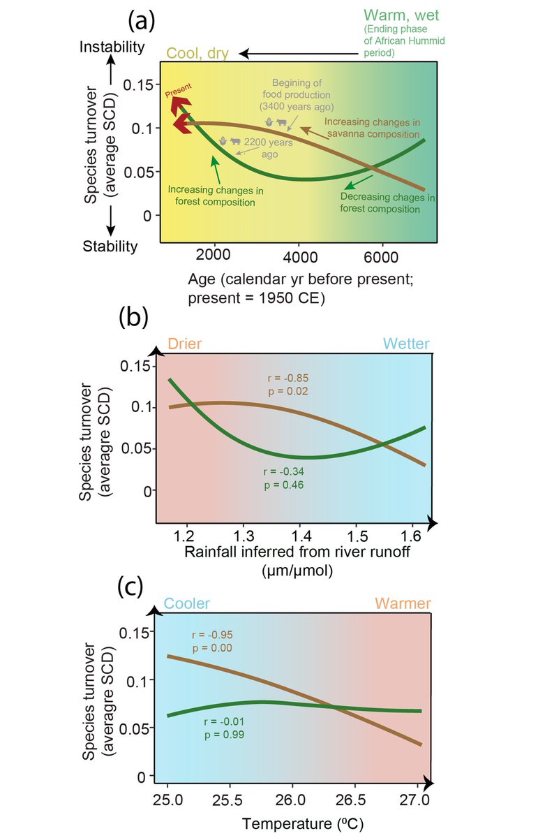 Our (myself, @thatpollenguy et al) contribution to the latest @PAGES_IPO magazine issue show how past #ecosystem turnover knowledge can inform present-day #ecosystem #restoration , using #Nigeria as a case study: pastglobalchanges.org/publications/p…