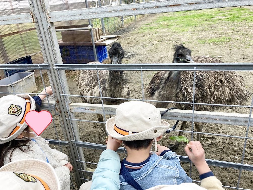 ブルーベリージャム作り Twitter Search Twitter