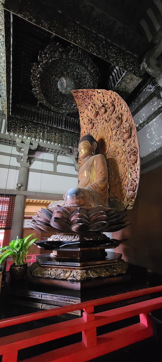 DocWascher's tweet photo. Visiting the Byodo-In Buddhist temple in Honolulu.  It is a precious pocket of serenity, and a temporary respite from a troubled world. https://t.co/ro7Lhl48zf