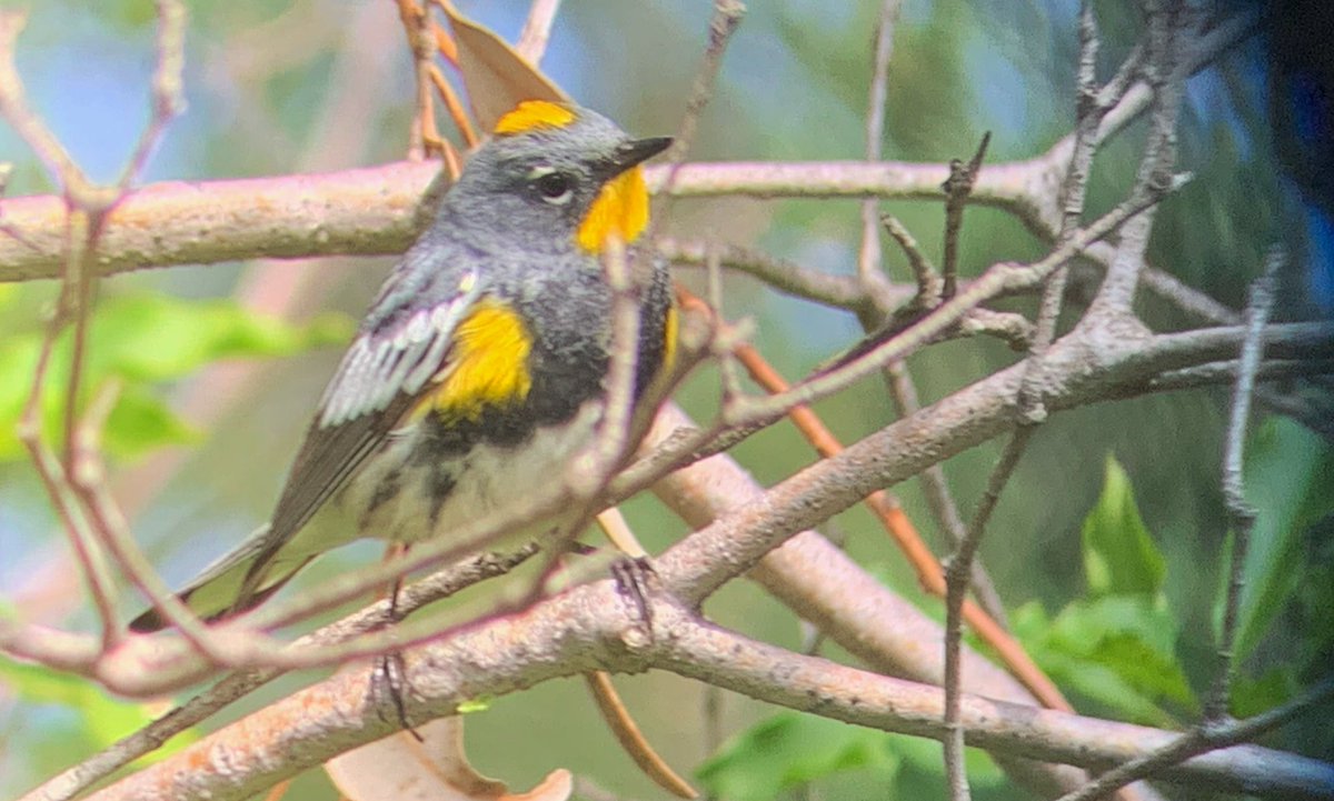 Marky Mutchler tweet media