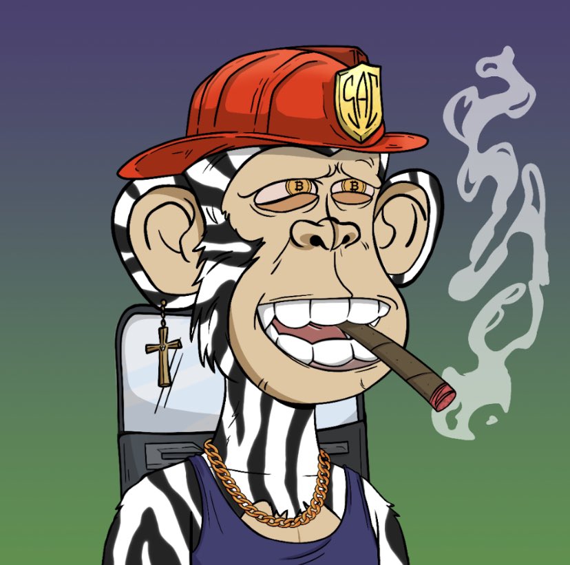 ThyParzival's tweet photo. What a steal. Seen a few other people interested. Gas fees were just killin me, but here we are. #SACPAC #SAC #NFT #NFTCommunity #bitcoin #bitcoineyes #firehat #blunt #riotshield #crossearring #zebraskin https://t.co/rW6Ponfn5I
