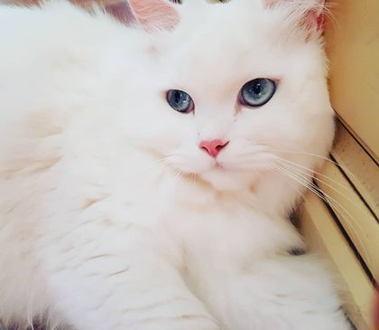 tenshotxt's tweet photo. Multi-verse murder aside, look at her. https://t.co/rZxcxO0RoX