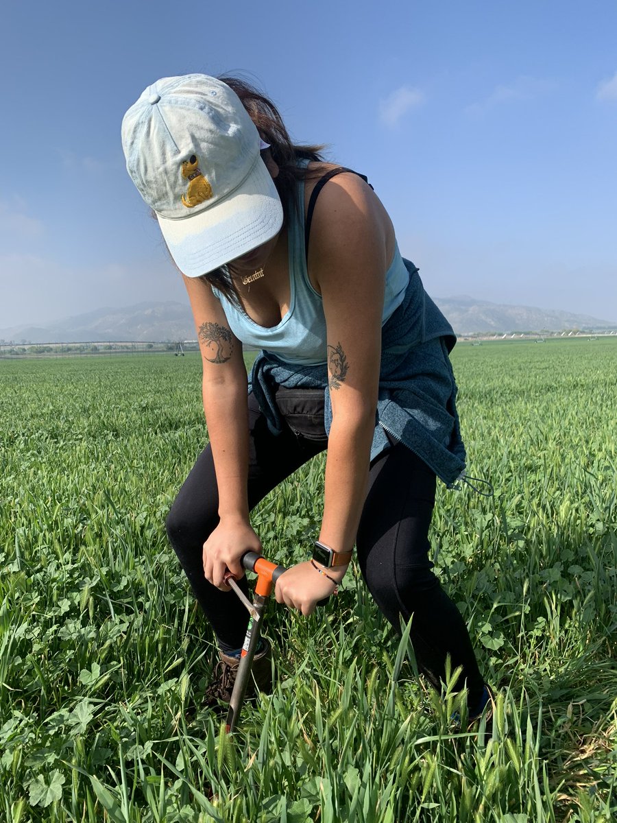 Alyssa Valdez tweet media