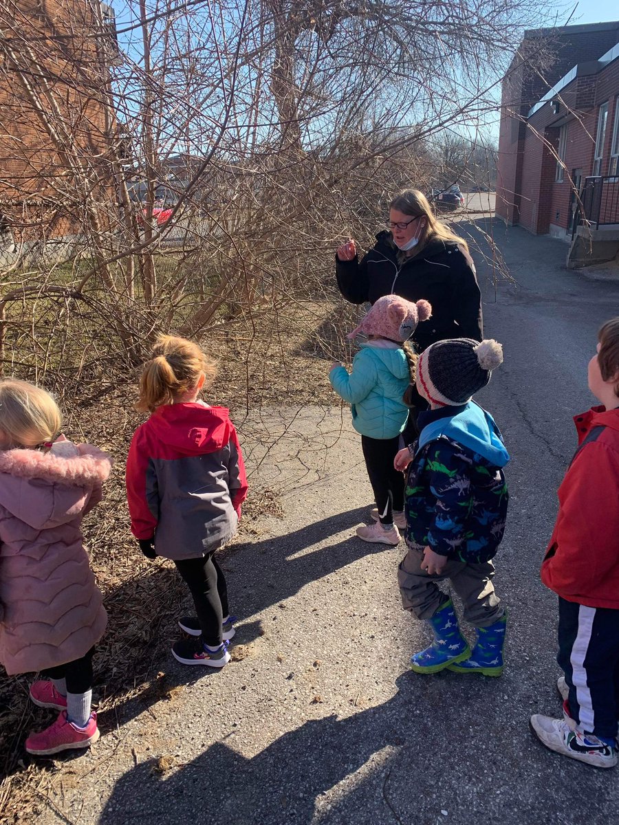 missblacksclass's tweet photo. Tweet Tweet @missblacksclass goes #outdoors to hang our #handmade #birdfeeders @alcdsb_stmt As part of our #springinquiry we put them outside of our #window #birdwatch #ontariobackyardbirds @alcdsb @ALCDSB_Kinder 🐦👀 https://t.co/mQ49w2UM5x