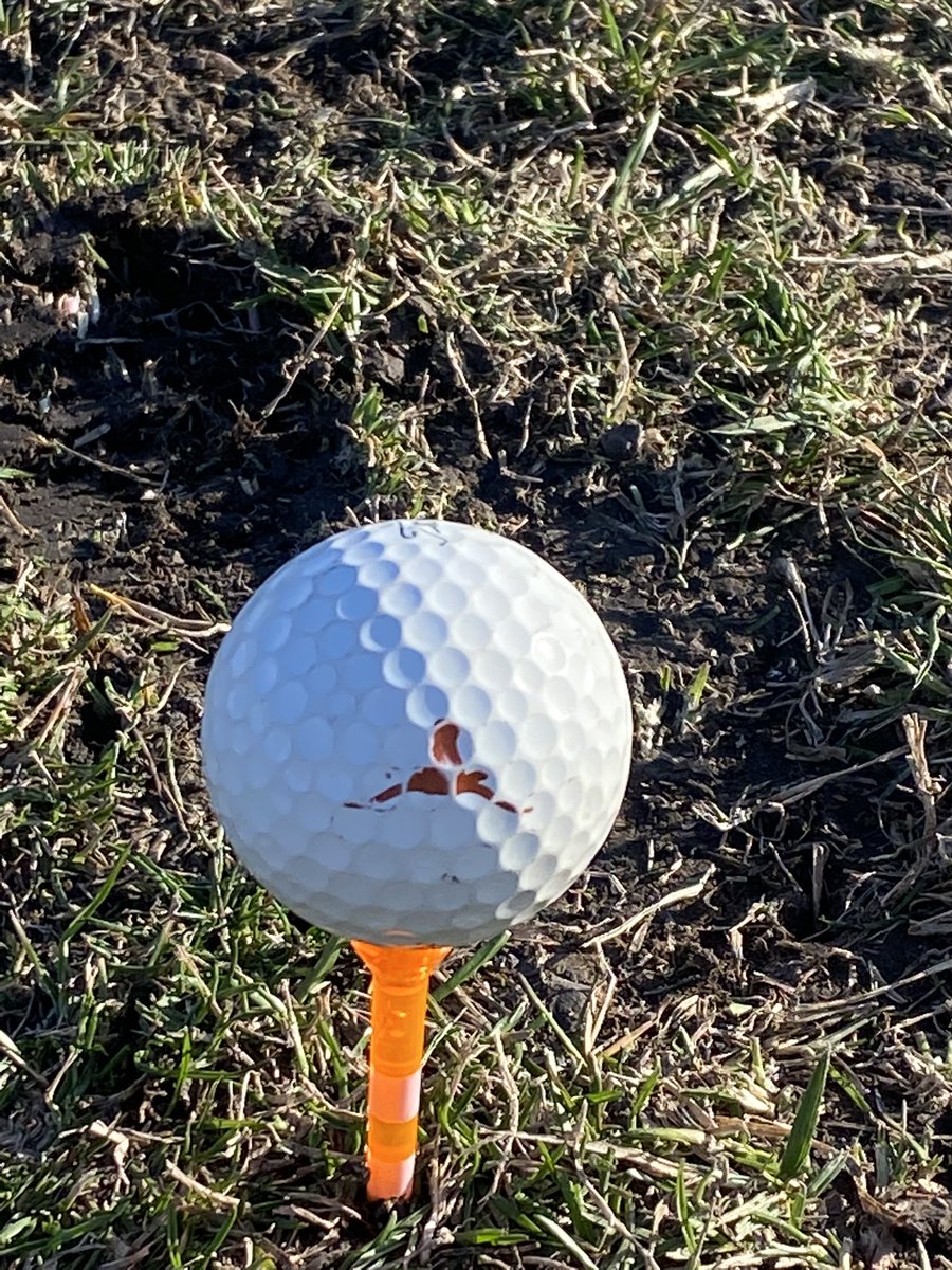 apwood's tweet photo. Random golf ball on the driving range. Proper ball alignment. Yes, I sent it. https://t.co/9CJDJd6Rzh