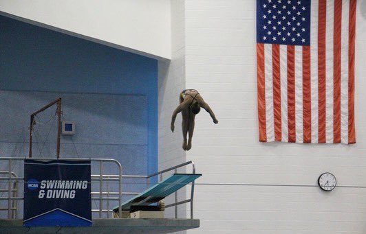 faithalexa_'s tweet photo. #D3Week I chose D3, specifically @FCGrizAthletics, to have coaches &amp; professors who acknowledge &amp; value my identity as both a student &amp; an athlete. Challenges promote success &amp; good character, &amp; it’s a blessing to be constantly challenged in the classroom &amp; in the pool!! https://t.co/qSuJlwpxB8