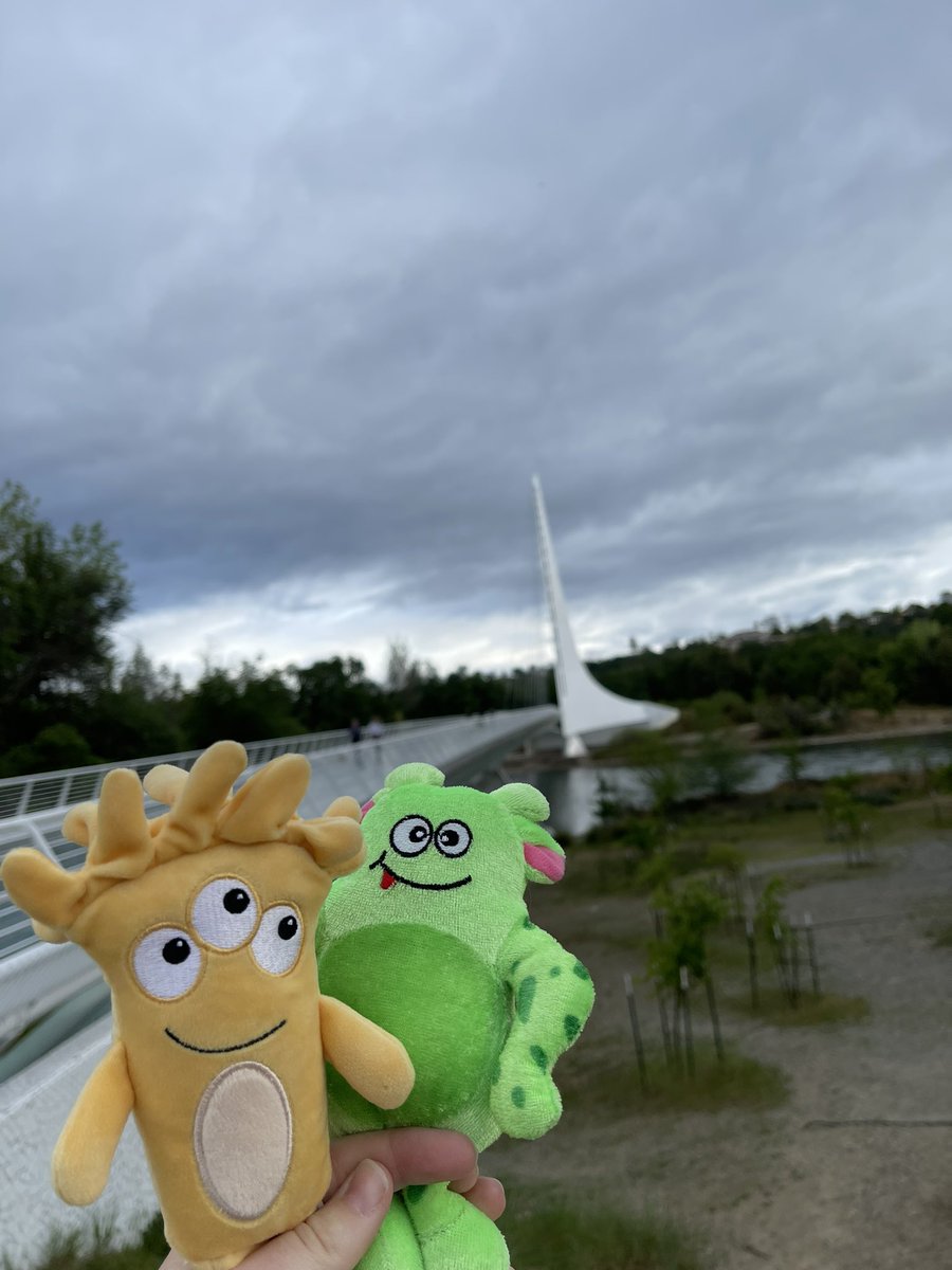 MeghanToland's tweet photo. Thank you @calmuseums &amp; @TurtleBayPark for a fun day! Leo, Mr. Noodles and I had a great time exploring! #californiamuseums #museumnerd @SacKidsMuseum https://t.co/tVjgffsGnh
