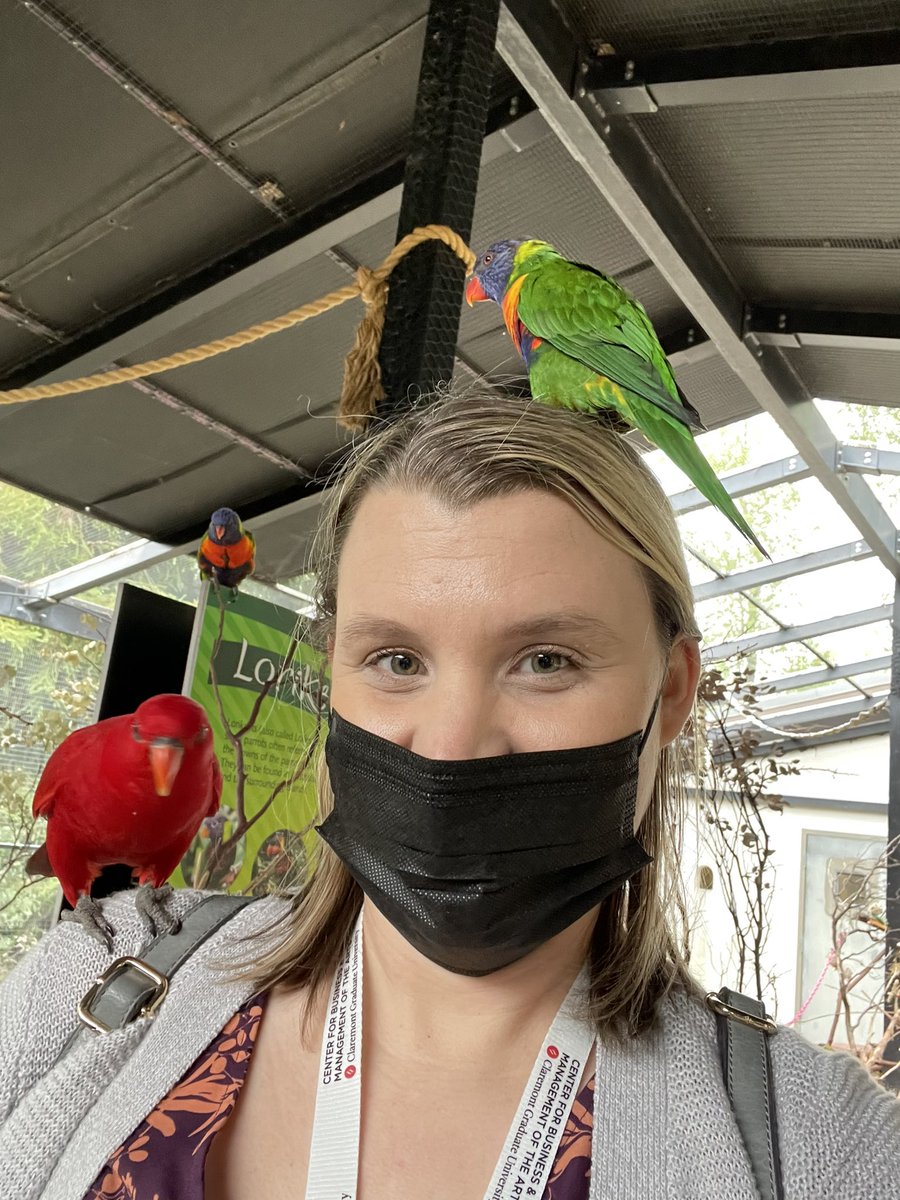 MeghanToland's tweet photo. Thank you @calmuseums &amp; @TurtleBayPark for a fun day! Leo, Mr. Noodles and I had a great time exploring! #californiamuseums #museumnerd @SacKidsMuseum https://t.co/tVjgffsGnh