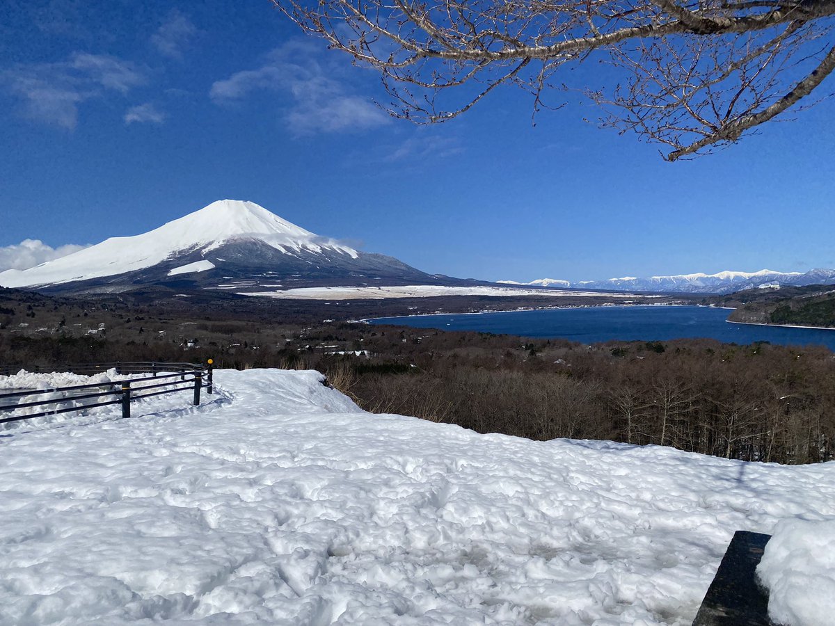 JessicaFreek's tweet photo. 静岡に来たんだが、まだ雪が残ってるという https://t.co/rfICHoAEbY