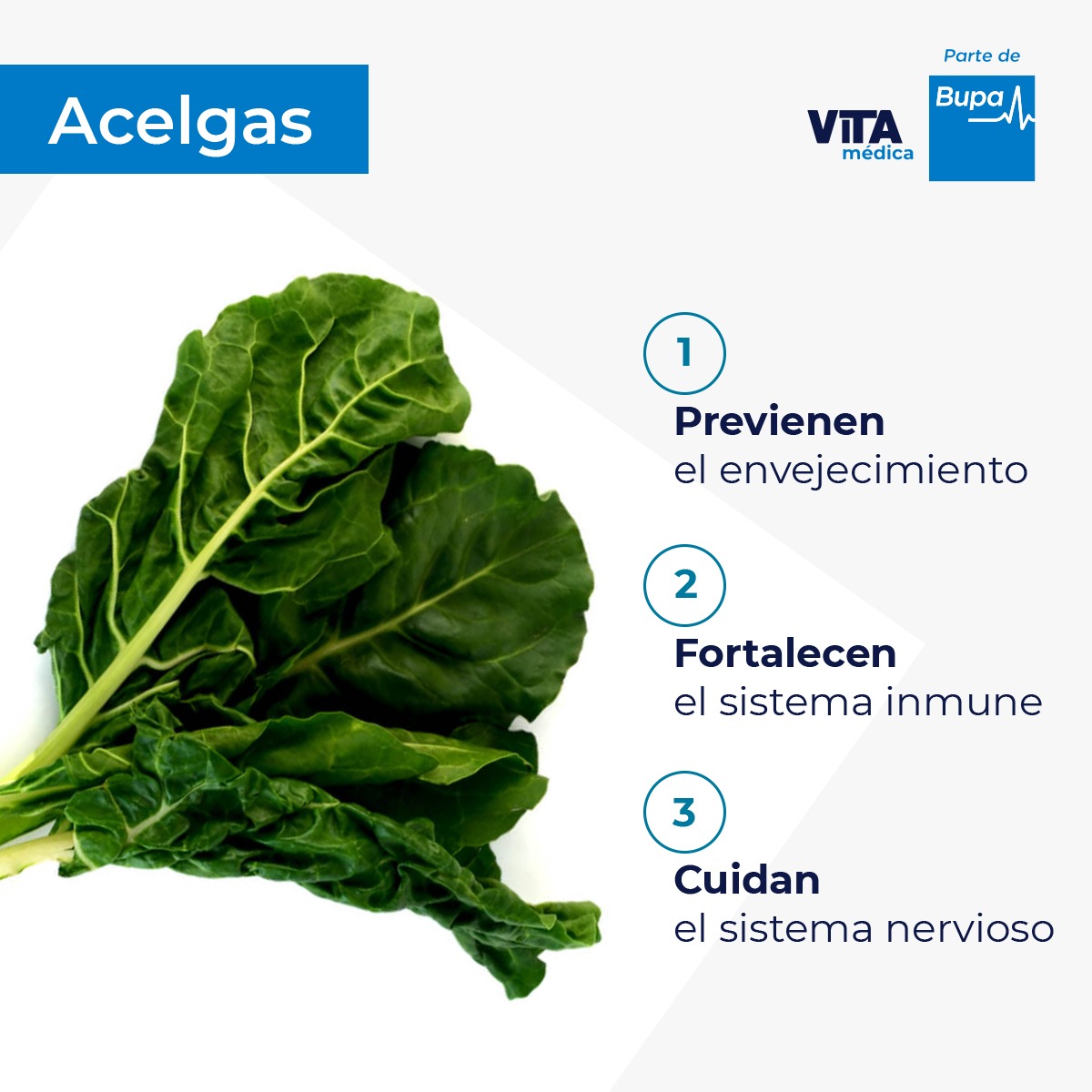 Además tienen poco aporte calórico, son ricas en fibra, omega 3,  vitamina C y K. 
Se pueden comer tanto en crudo como cocinadas.  

Cuidar de tu alimentación es cuidar de tu salud.