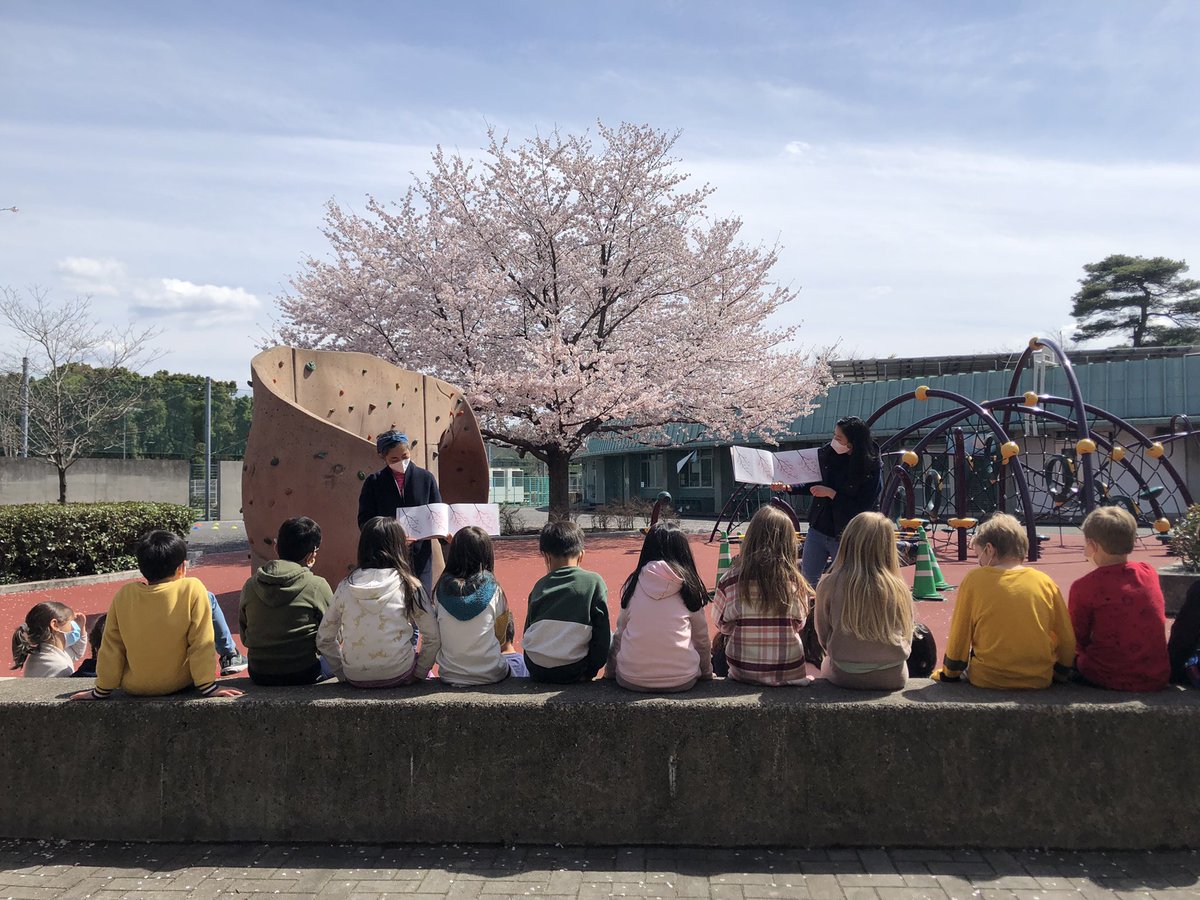 Hirasensei's tweet photo. Story time under the Sakura tree! #asij #esasij #esjapanese https://t.co/MfJRY8R5Ga