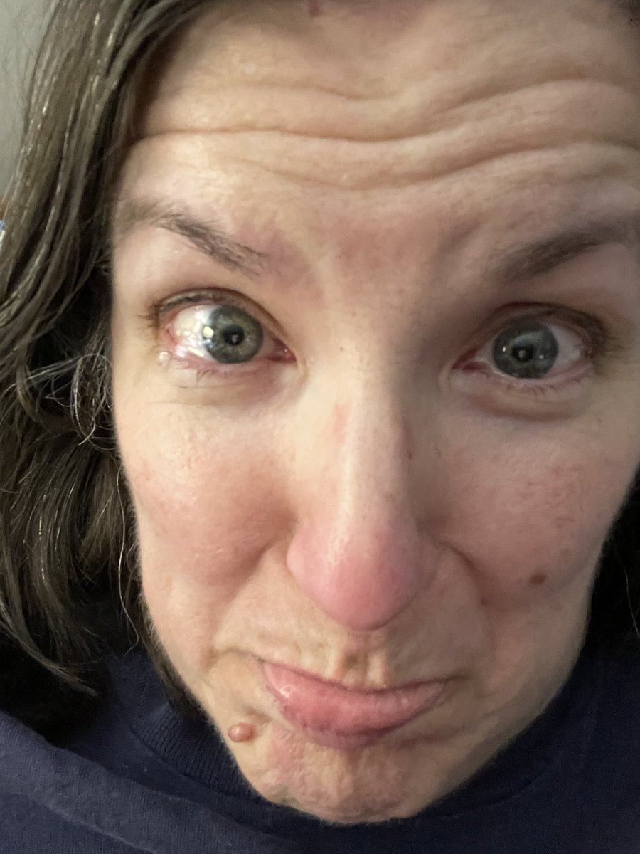 carrolllisaa's tweet photo. Oh, @TimFederle 
This movie is magic. Love the adaptation in every way. This theater teacher/librarian is feeling all the feels. Kudos! https://t.co/4YGyr58Adl