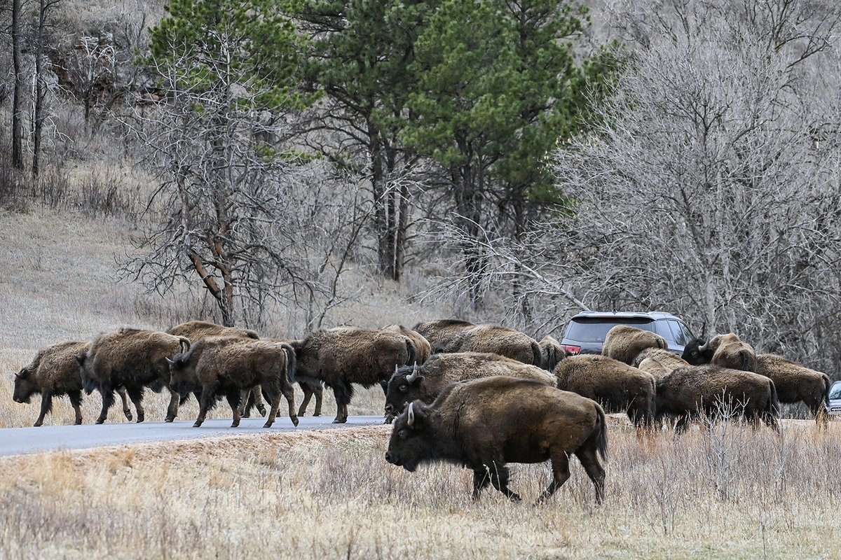 Matt Gade tweet media