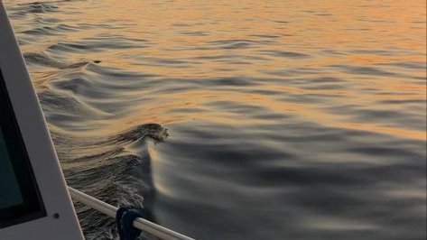 300moods's tweet photo. pov: you stayed at the beach to watch the sunset https://t.co/bIU7c9AzIV