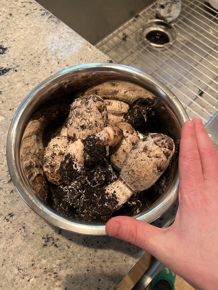 Aaron Patterson tweet media