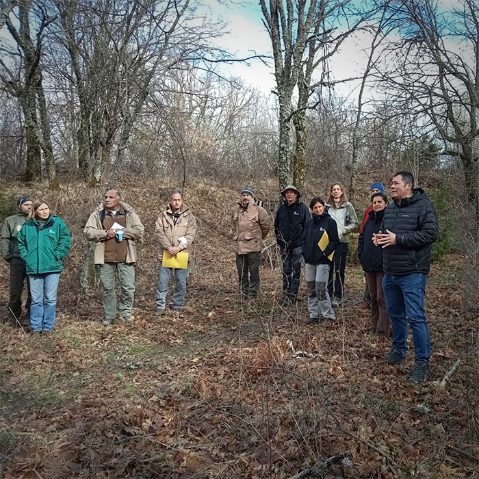 maderasvaronars's tweet photo. El proyecto #LIFE+REB ha celebrado en el mes de marzo el segundo comité de expertos en el que se han visitado diferentes bosques de #Quercuspyrenaica en #Riaza, provincia de #Segovia.

@PEFCSpain #PEFC #maderasostenible #maderareal #madera #roble #quercus

https://t.co/KLHW9oRhof https://t.co/4WX2a0yi9B
