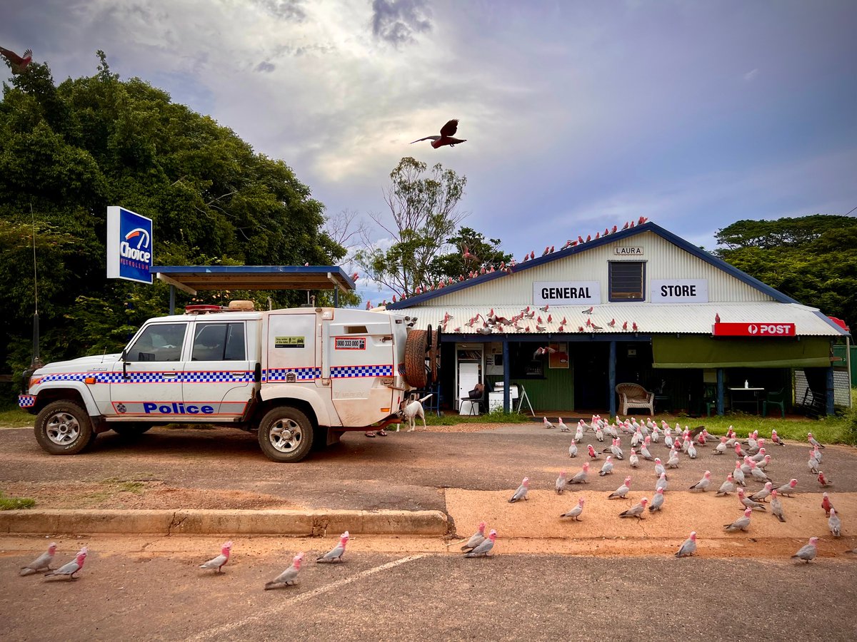 Queensland Police tweet media
