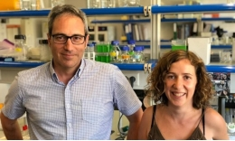 🔬Researchers, with the participation of <a href="/bcormand/">Bru Cormand Rifà</a> <a href="/Noeliafdez6/">Noelia Fernandez</a>  #IBUB, identify key epigenetic markers in vulnerability to developing food addiction 
<a href="/BiologiaUB/">Facultat de Biologia UB</a> <a href="/GeneticsUB/">GeneticsUB</a> <a href="/UniBarcelona/">Universitat de Barcelona</a> 
💻ub.edu/ibub/researche…
📰doi.org/10.1172/JCI156…