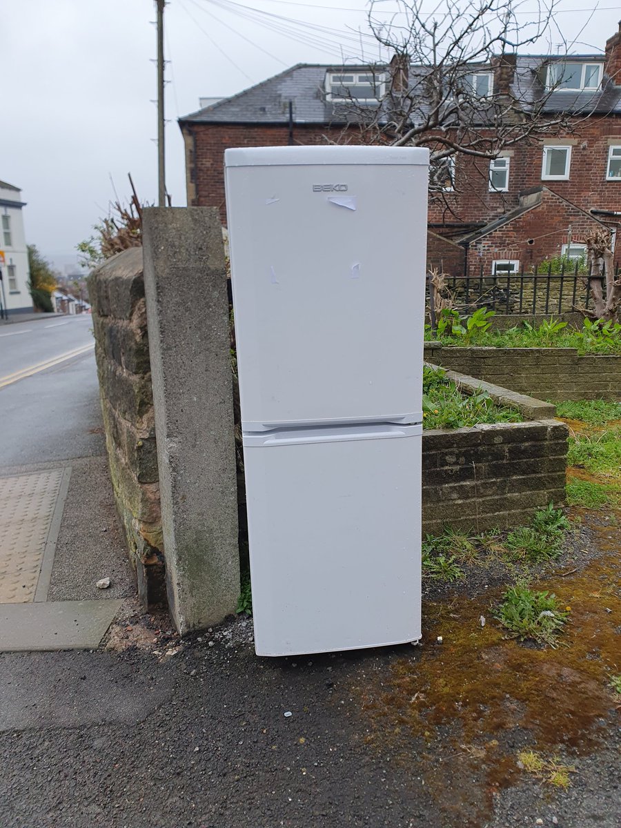 Vicky Paeschel tweet media