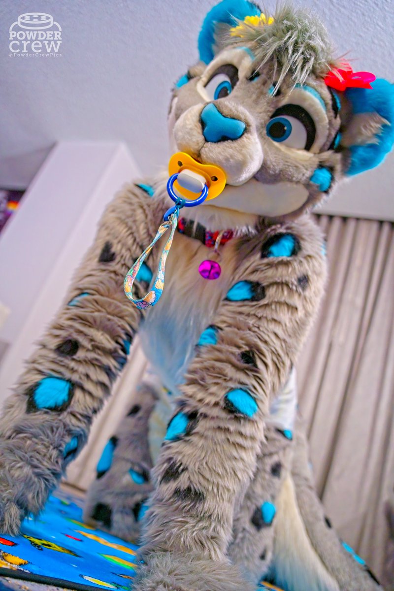 smolbluedot's tweet photo. meowwww! wanna play? :3 

📸 @PowderCrewPics https://t.co/XSCnKxURrX