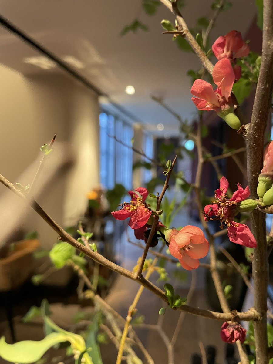 Tom Percival tweet media