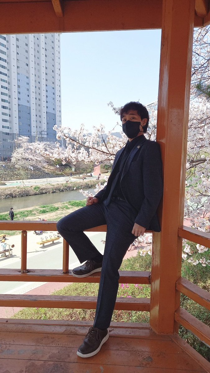 yohibi_'s tweet photo. 韓国に桜が咲けました。 https://t.co/CIEeR84RpQ