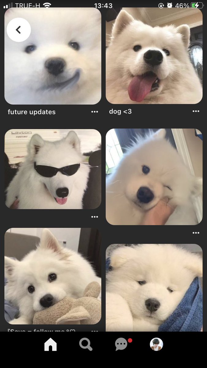 พินมีแต่โน่ โน่เต็มไปหมด