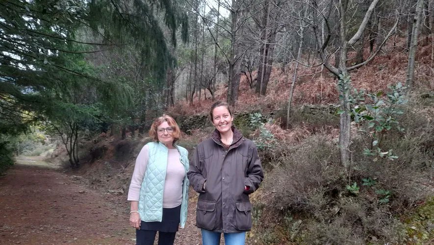 FransylvaFrance's tweet photo. À l’occasion de la #JIF 🌲, les élèves de l’école élémentaire Robert-Lavesques ont eu la chance de découvrir le massif de Jeannine Bourrely en participant à une chasse au trésor 👀organisée par Fransylva Gard. 
#LaForetEnsemble #JIF2022 
👉 https://t.co/WZxTodCn4u https://t.co/2hixUPkd3X