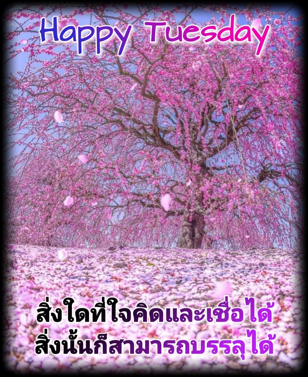 Nit Satun tweet media