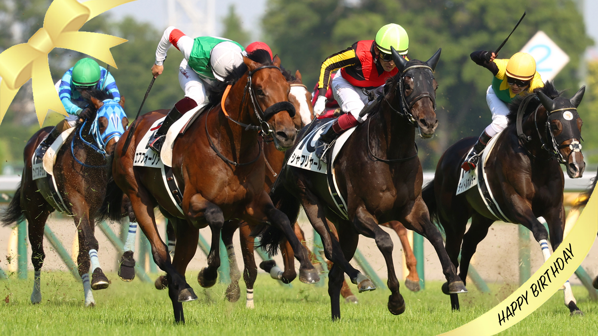 シャフリヤールドバイシーマ勝利記念ブルゾン