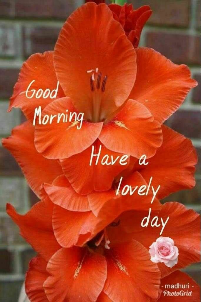  Happy birthday  kapil sharma 