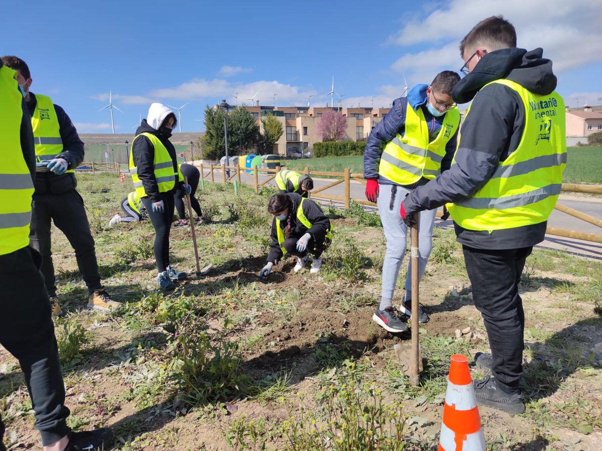 fundacionO2's tweet photo. #Arroyal
hoy seguimos plantando el jardín urbano de Arroyal con alumnos del IES Conde Diego Porcelos de Burgos, una acción medioambiental muy formativa.
fotos del segundo grupo, con el que ayer estuvimos trabajando. https://t.co/emuXfZQJFR