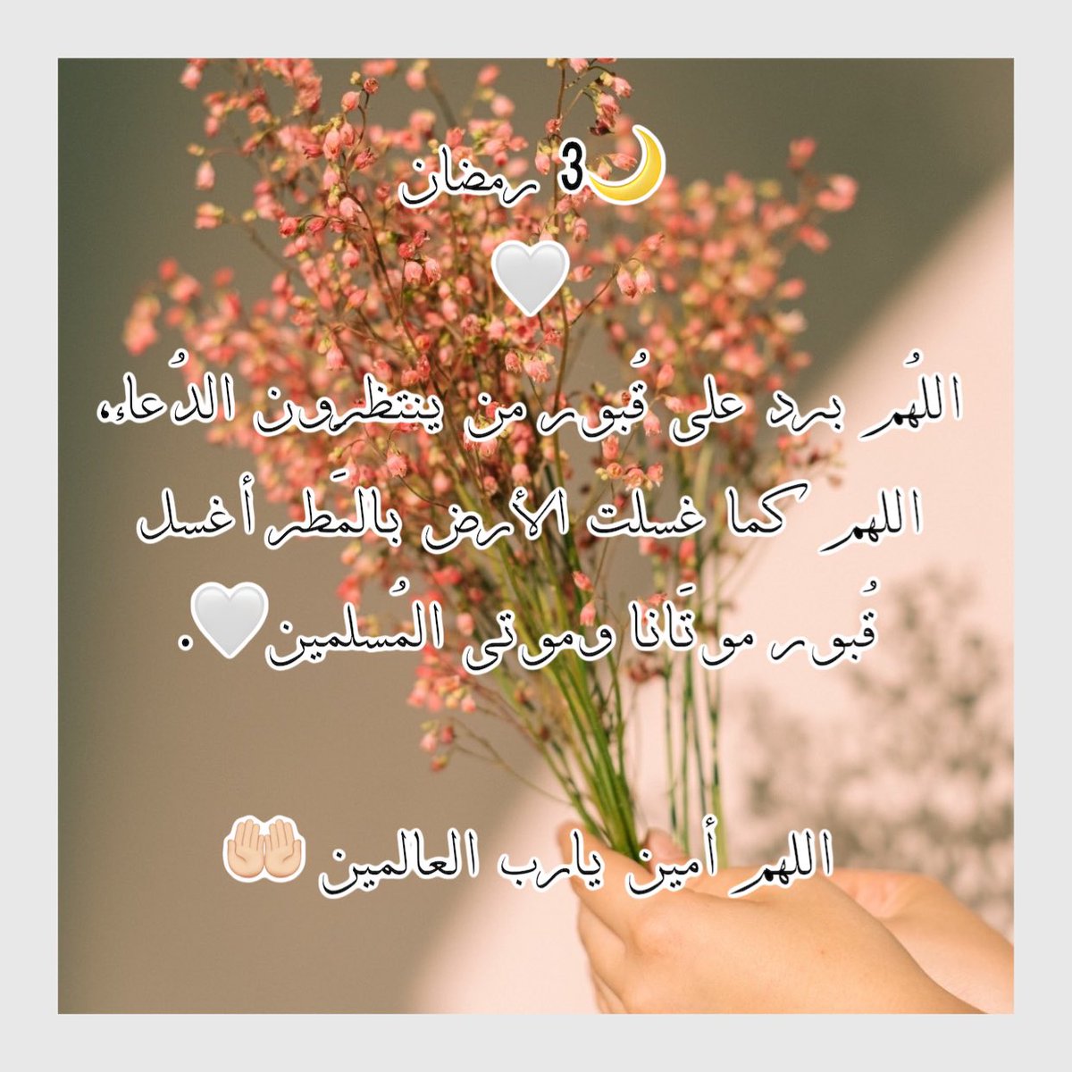 mt_qwg's tweet image. 