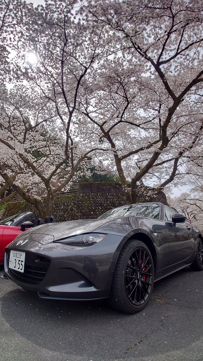 #これを見た人は愛車の背景が桜の画像を貼れ