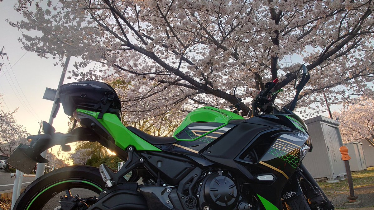 #これを見た人は愛車の背景が桜の画像を貼れ
