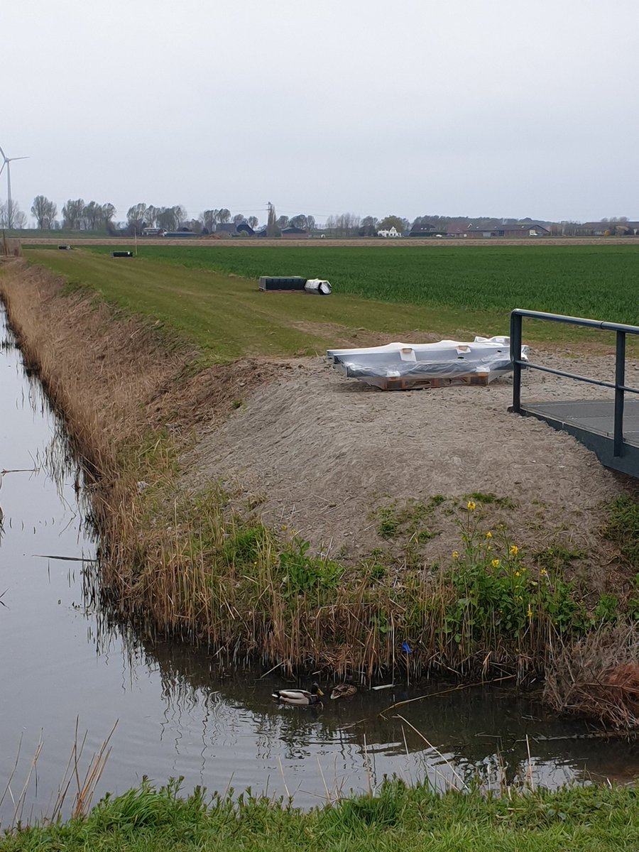 rjbHELIANTO's tweet photo. Deze foto nam ik 14 uur geleden, binnenkort kan ik langs de velden lopen. #wandelen heeft mij rechtop blijven staan. Iets met #paden en #lanen en #hoofd leeg maken. Iedere dag weer. https://t.co/I7bSJ5fqXz