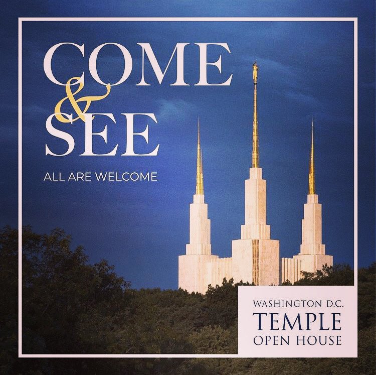 Rachel Sheffield tweet media