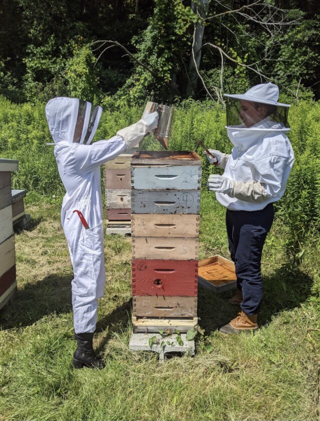 VTBeeLab's tweet photo. Our summer classes are open for signups and spots are filling up fast! This summer you can take Hands-On Beekeeping in person at the UVM Hort. Farm, or Intro to Beekeeping online. For more info visit https://t.co/UjzTcSvjTw https://t.co/MGPB6OkzzE