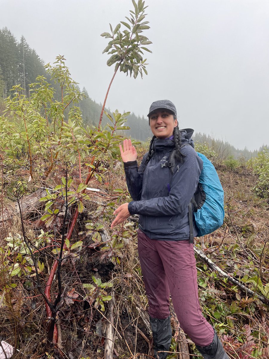 richamelin's tweet photo. Congratulations Priya Puri for receiving an @NSERC_CRSNG Canada Graduate Scholarship Master’s Award for your work on the decline of the iconic arbutus tree #forestdisease #climatechange #pathobiome https://t.co/xIvTmPQdhq