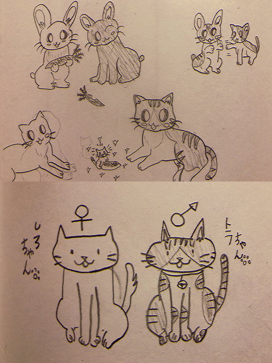 小3のときから描いてました。 