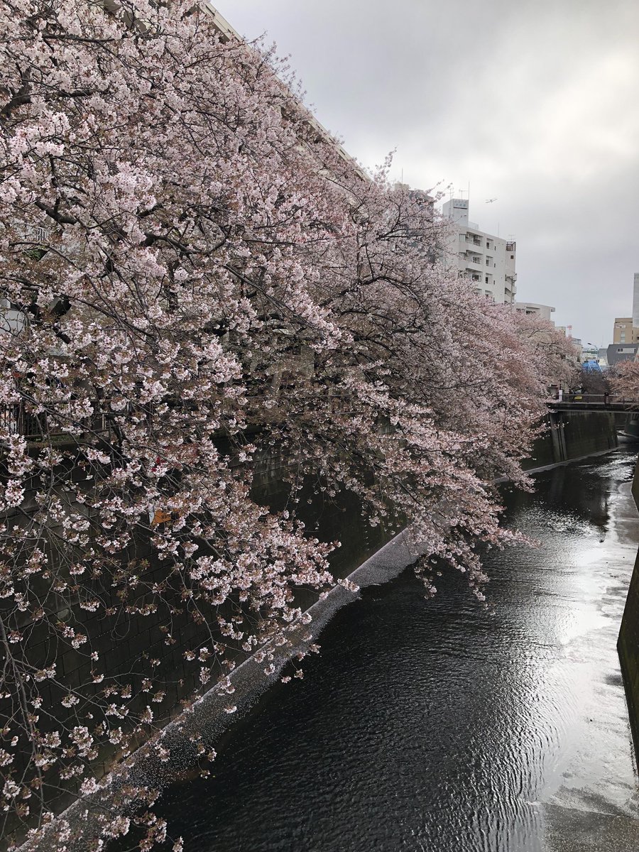 rumicha2's tweet photo. 春馬くん、同じ時代に生まれて来てくれて有り難う。
2022年4月5日

新居に引越して一番やりたかった事。
せかほし「スペイン・幸せテキスタイルを探す旅」で紹介されたieno textileのマルチクロスとカーテンクリップを使ったカーテン。
クリップは春馬くんのお家と違うけど。 https://t.co/O0KnttlqYp