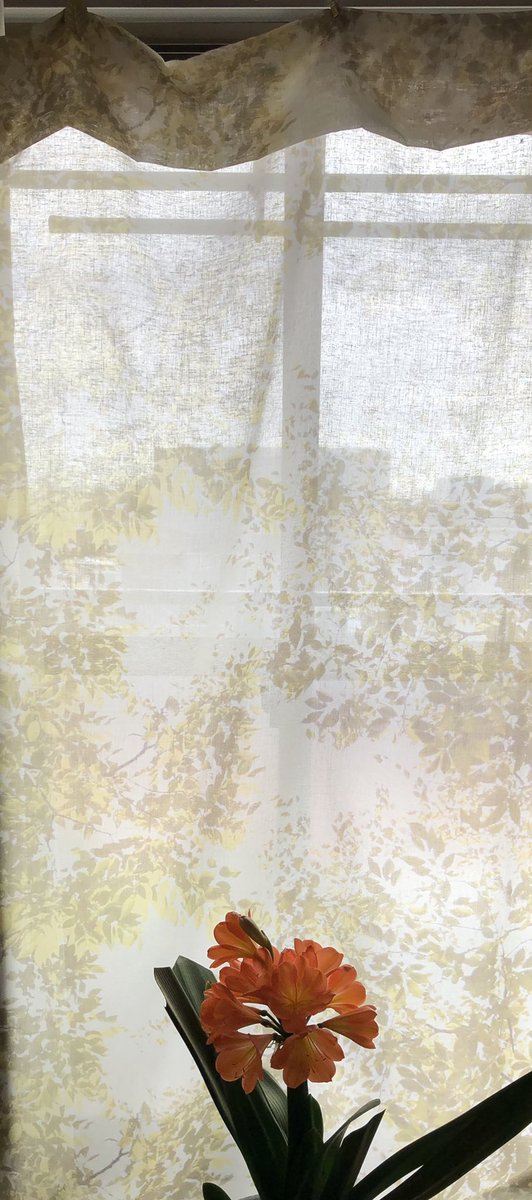 rumicha2's tweet photo. 春馬くん、同じ時代に生まれて来てくれて有り難う。
2022年4月5日

新居に引越して一番やりたかった事。
せかほし「スペイン・幸せテキスタイルを探す旅」で紹介されたieno textileのマルチクロスとカーテンクリップを使ったカーテン。
クリップは春馬くんのお家と違うけど。 https://t.co/O0KnttlqYp
