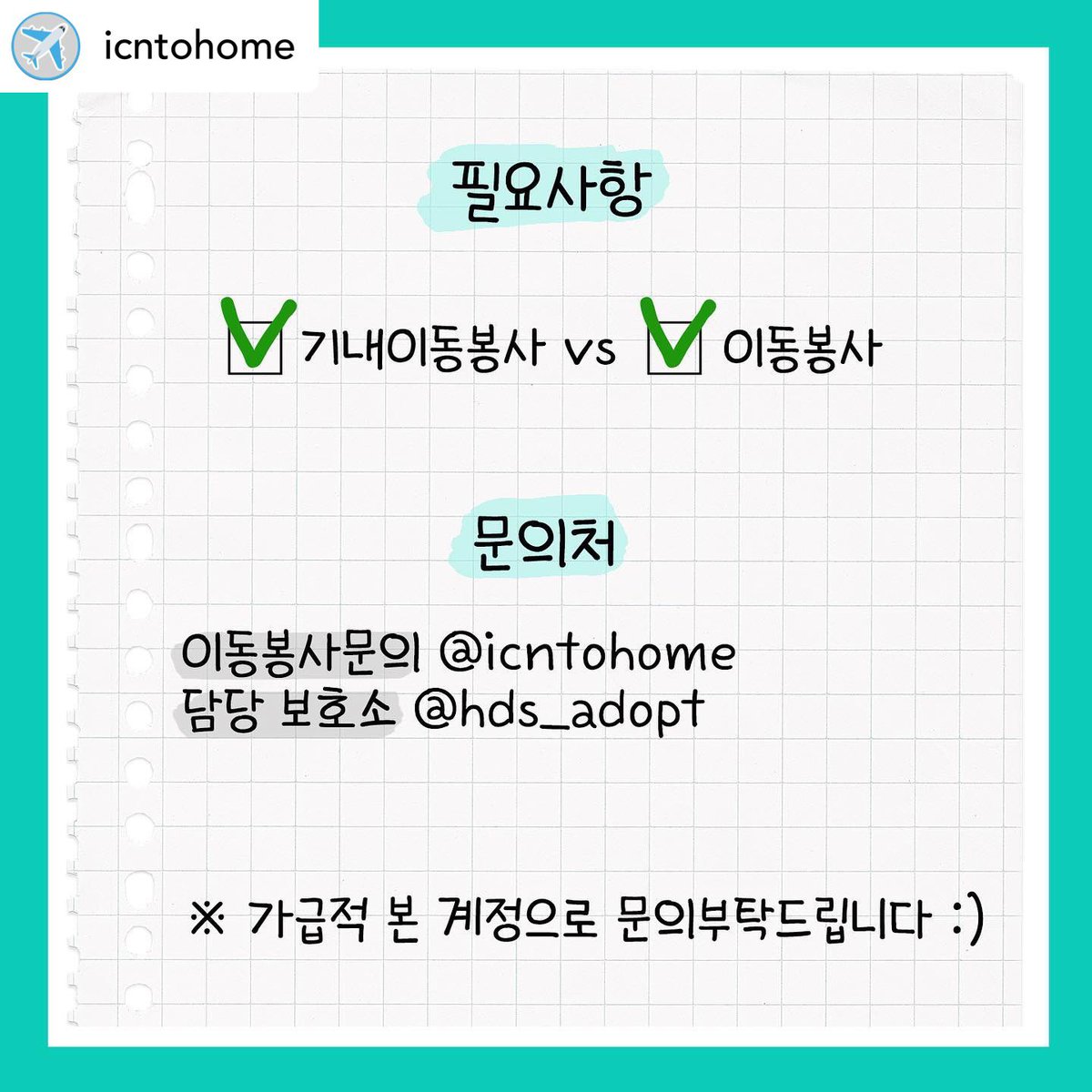 [🇨🇦캐나다 이동봉사🇨🇦] 경비실 앞 전봇대에 묶여 버려졌다가 행동사에 구조된 양천이는 캐나다 토론토에서 평생가족을 찾았습니다! 토론토 가시는 분, 양천이가 평생가족의 품으로 갈 수 있게 도와주세요! 양천이는 6kg대로 화물칸과 기내이동이 모두 가능합니다 ✈️♥️

#토론토이동봉사