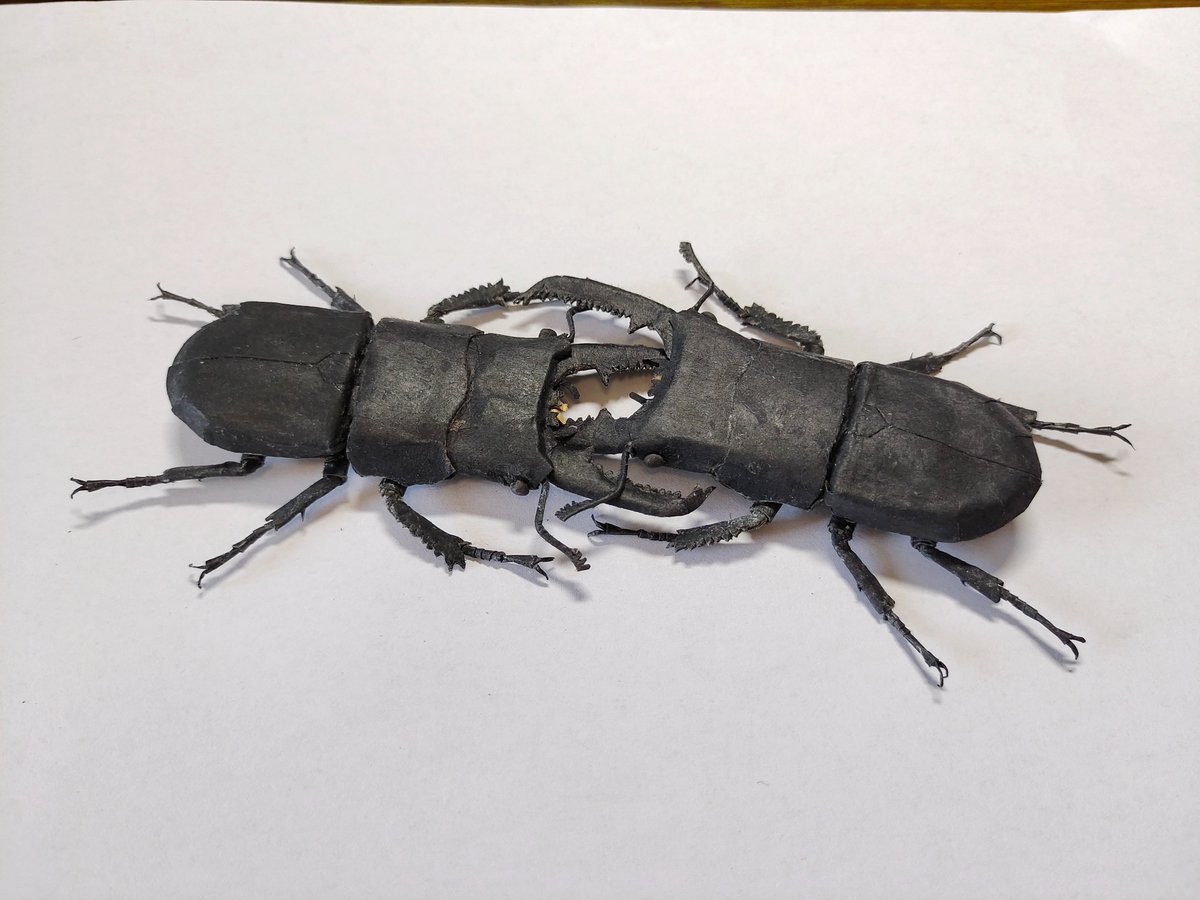 Serrognathus titanus palawanicus 纸模型 9cm