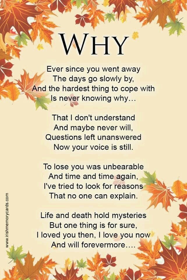 kittyLuvsHorror's tweet photo. This is my thoughts exactly.  #WHY #sad #Upset #Painful #Terrible #Disappointed #WHATHAPPENED #NoWarning #Death #Hurts #missyousobad #momdaughter #Mom #ComeBack #Broken #Devestation #heartbroken  #RIP #love #Lost #Trending https://t.co/hSeL35735n
