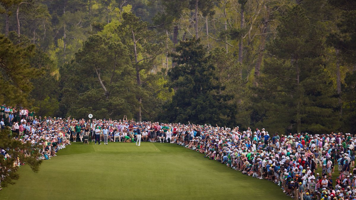 This was a *Monday* Tiger crowd.