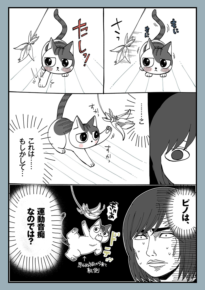 「もしかして…運動音痴!?」 飼い猫と、おもちゃで遊んでいると…? https://t.co/tz9zneDlh3 @grapeejpより 